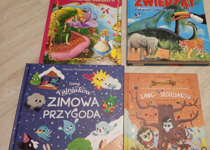 Grajewo ogłoszenia: Odsłon książeczki dla dzieci jak nowe za kapsułki Ariel  2x...