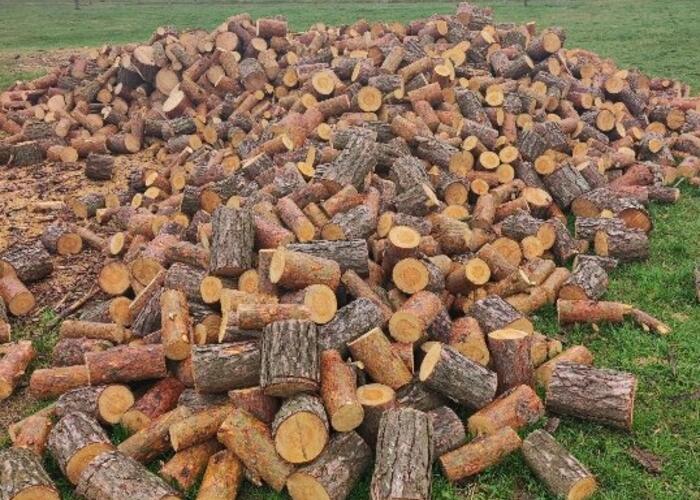 Grajewo ogłoszenia: Sprzedam drewno opałowe w pieńkach