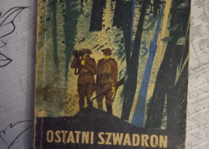 Grajewo ogłoszenia: Sprzedam ponad 100 sztuk książek tzw tygrysiki za sztukę po 2...