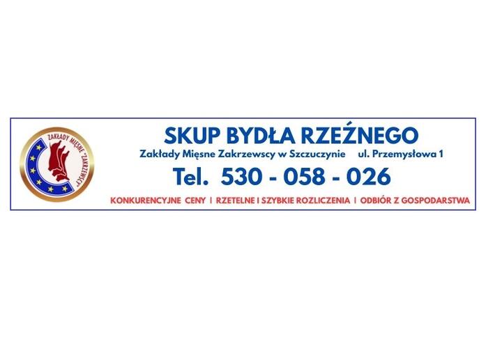 Grajewo ogłoszenia: Skup bydła rzeźnego.

   - Konkurencyjne ceny;
   - Rzetelne i...