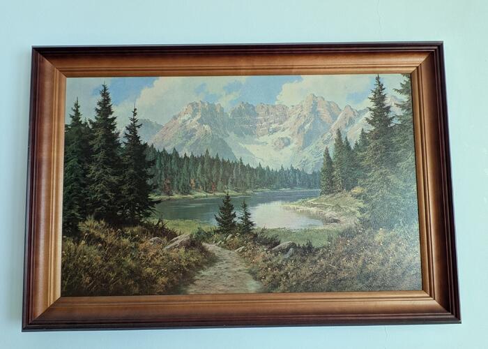 Grajewo ogłoszenia: Wymiary 60x90 cm