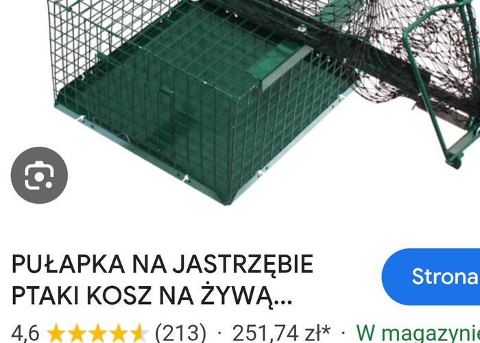 Grajewo ogłoszenia: Może ma ktoś taką pułapkę na Jastrzębia i chciałby...