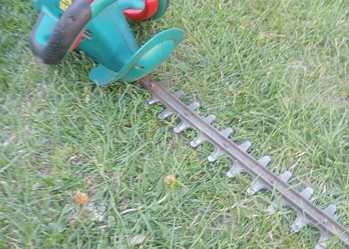 Grajewo ogłoszenia: Sprzedam piłę do żywopłotu Bosch w dobrym stanie.