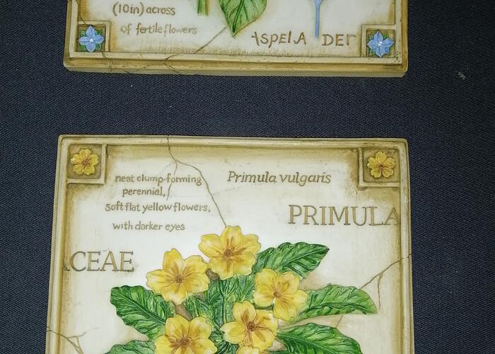 Grajewo ogłoszenia: Sprzedam dwa dekoracyjne obrazki