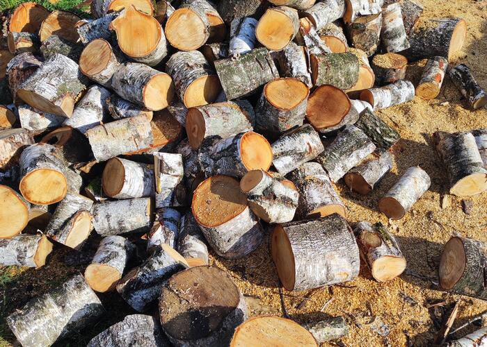 Grajewo ogłoszenia: Witam, sprzedam drewno opałowe w pieńkach: brzoza i wiąz 240zl...
