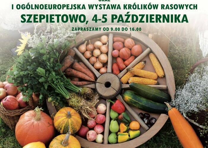 Grajewo ogłoszenia: PODR Szepietowo zaprasza 4-5 października 2025 r.

Targi...
