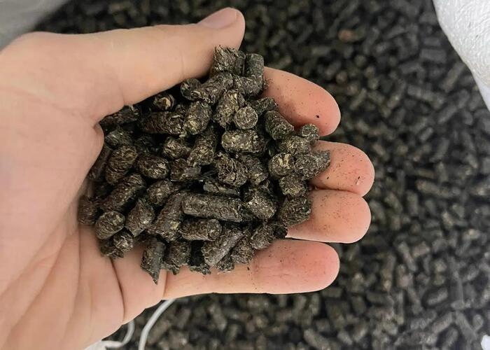 Grajewo ogłoszenia: Pellet Pelet z łuski słonecznika

Pellet z łuski słonecznika...