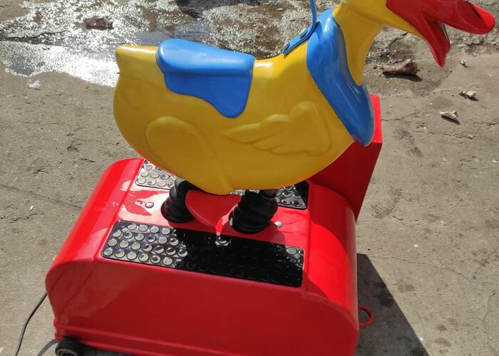 Grajewo ogłoszenia: Sprzedam kaczora bujak cena do uzgodnienia