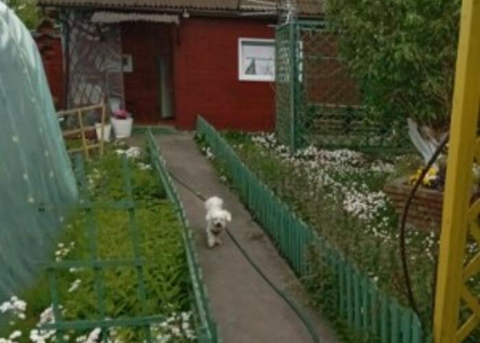 Grajewo ogłoszenia: Sprzedam działkę Rod Oaza nr137. Działka zadbana z domkiem cena...
