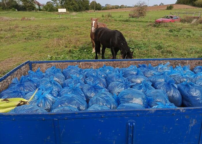 Grajewo ogłoszenia: Sprzedam obornik koński worki 60 l dowóz do klienta.

UWAGA....