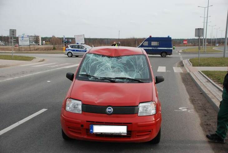 Potrącona na przejściu