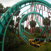 7. Bush Gardens, Tampa Bay, Floryda - jeden z wielu rollercasterow Podpis: Maja