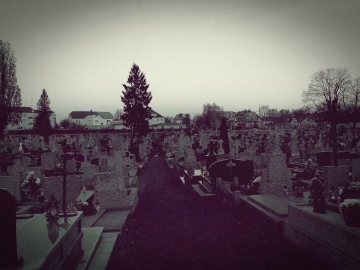 Zdjęcia z cmentarzy