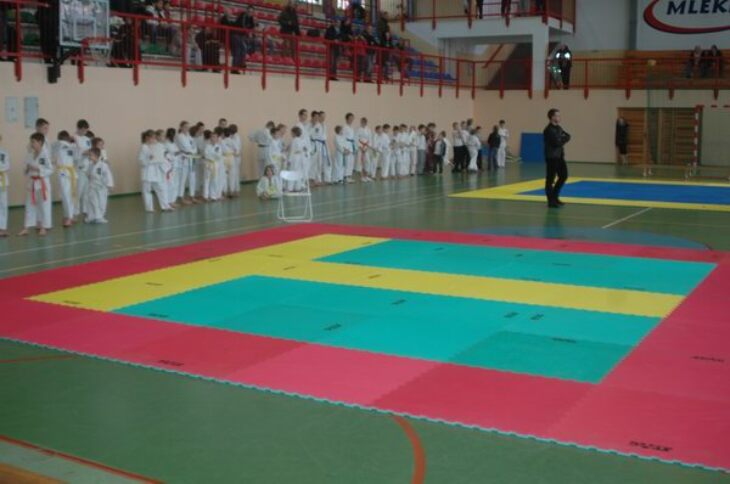 Mikołajkowy Turniej Karate 