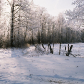 15.  zimowe okolic GRAJEWA Podpis: w.gawek