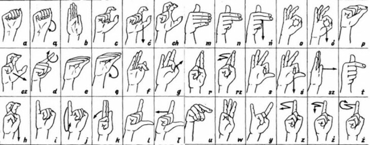 Język migowy w ZUS
