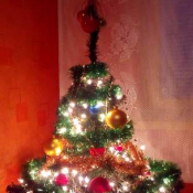 24. Podpis: Grażyna  Choć choinka nieduża,ale też cieszy oko i stwarza świąteczną atmosferę... :)
