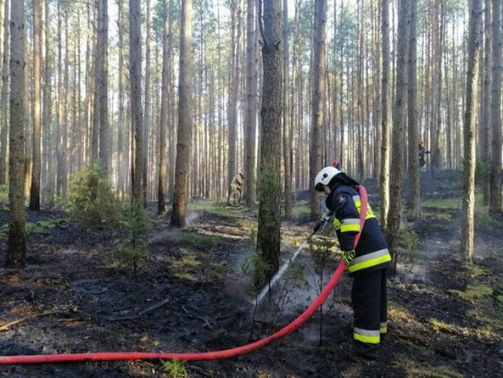 Pożar lasu za Grajewem