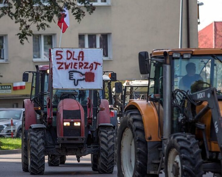 Protesty rolników 