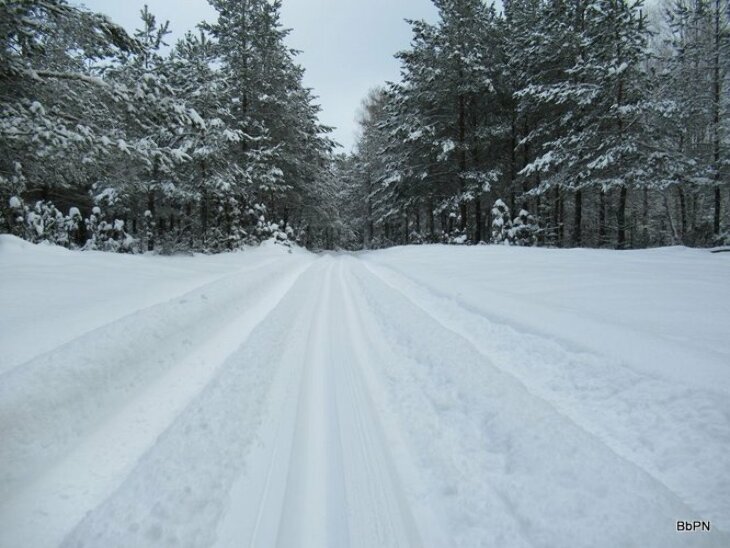 Zima: trasy biegowe w BbPN