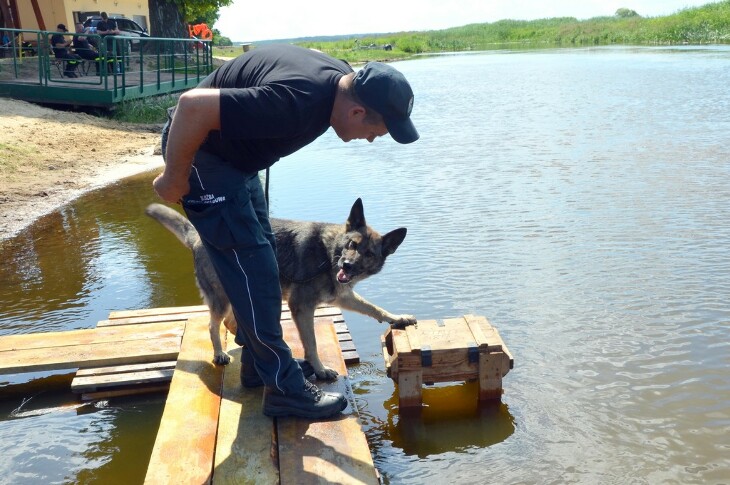 Ćwiczenia psów służb mundurowych w okolicach mostów nad Narwią