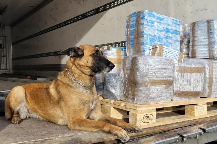 Jona znalazła 5 tys. paczek nielegalnych papierosów