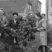 3. Grajewo. 1950r. Plac Niepodległości. Park i przyjaciele, na tle Komitetu Partii-z prawej. ( fot. -F. Więckowski)