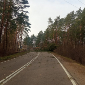 6. Przez ok godzinę była całkowicie zablokowana droga nr 65 w okolicach Osowca. 
