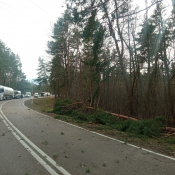7. Przez ok godzinę była całkowicie zablokowana droga nr 65 w okolicach Osowca. 