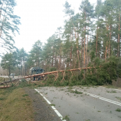 8. Przez ok godzinę była całkowicie zablokowana droga nr 65 w okolicach Osowca. 
