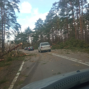 13. Przez ok godzinę była całkowicie zablokowana droga nr 65 w okolicach Osowca. 