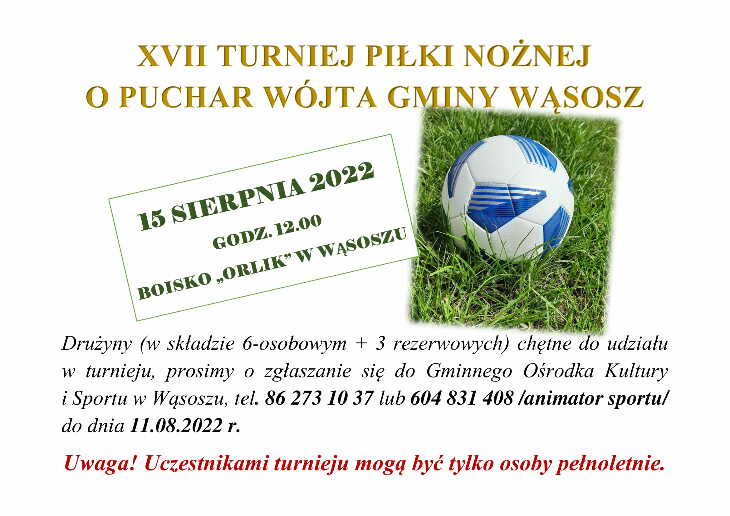  Wąsosz- Turniej Piłki Nożnej (15.08)