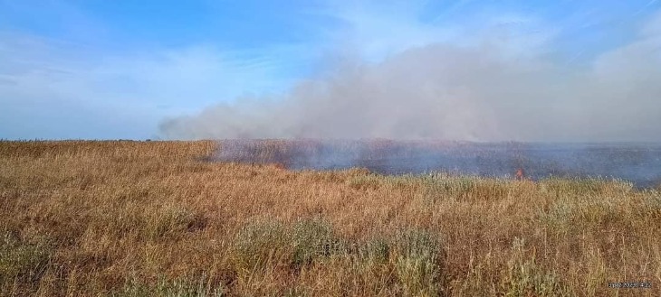 Pożar w Biebrzańskim Parku Narodowym opanowany