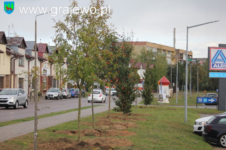 W Grajewie przybywa zieleni