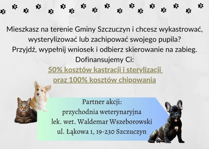 Szczuczyn: Rusza akcja sterylizacji, kastracji i chipowania psów i kotów 