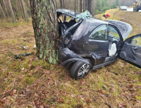Opel wbił się bagażnikiem w drzewo