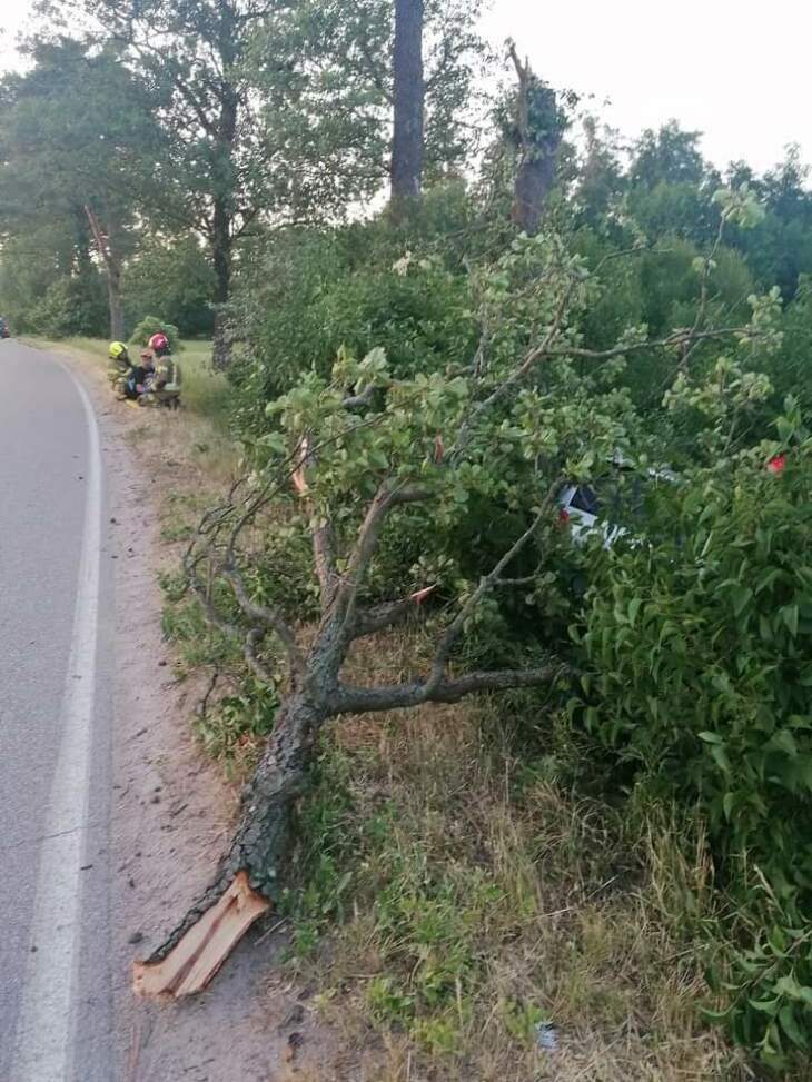 Auto wylądowało w przydrożnym rowie 