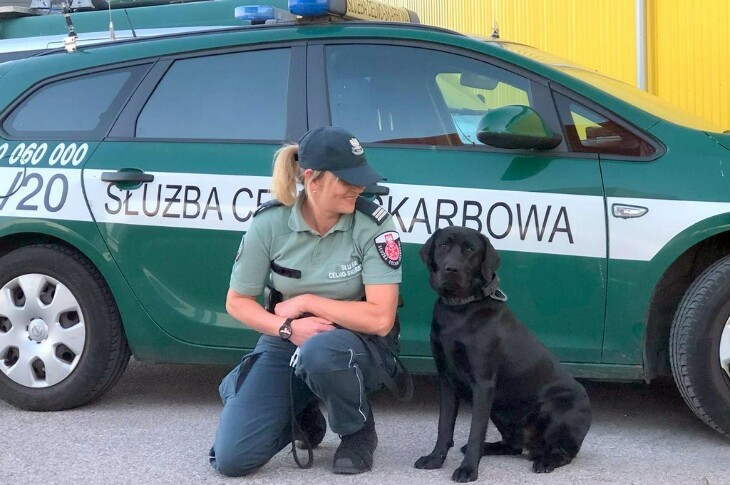 Przemycał w ciężarówce tytoniową kontrabandę