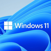 3. Windows 11 logo