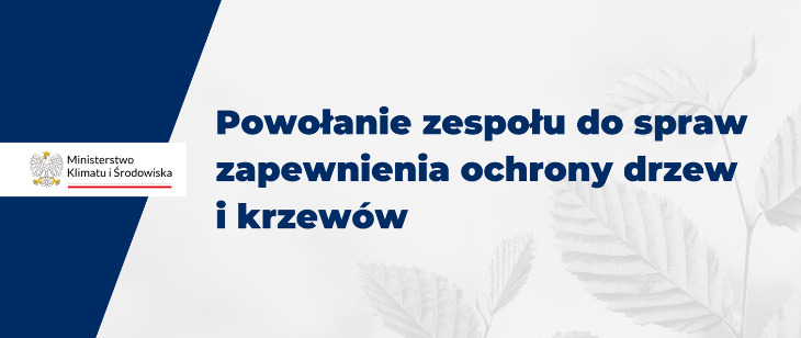 Będzie zakaz wycinki krzewów na własnej działce?