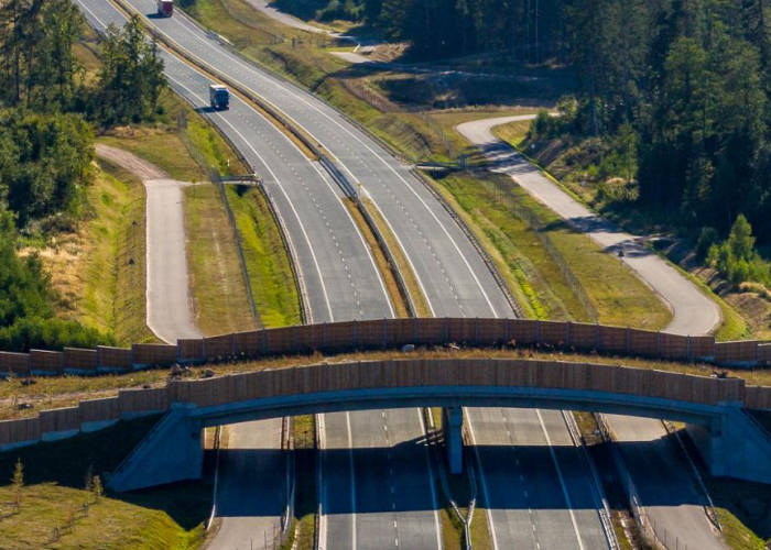 Nowoczesna infrastruktura drogowa...dla zwierząt