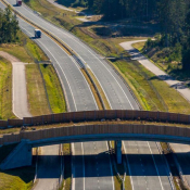 2. Przejście dla zwierząt nad S61