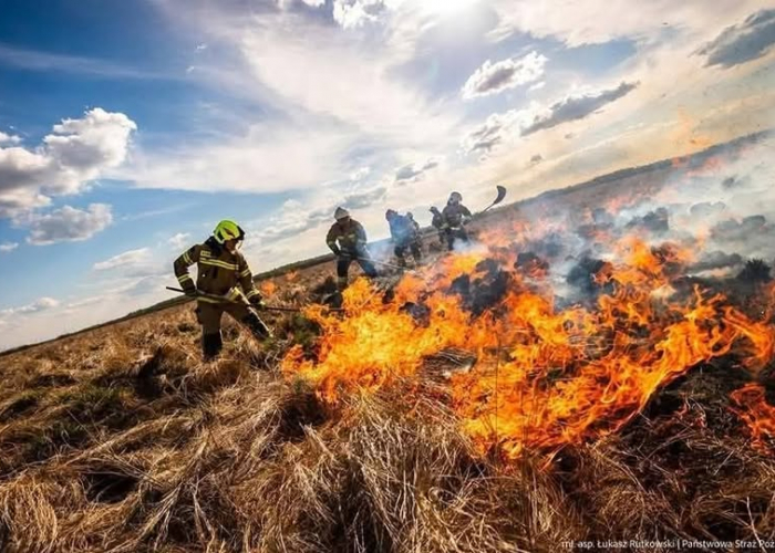 Trwa walka z pożarem w Biebrzańskim Parku Narodowym