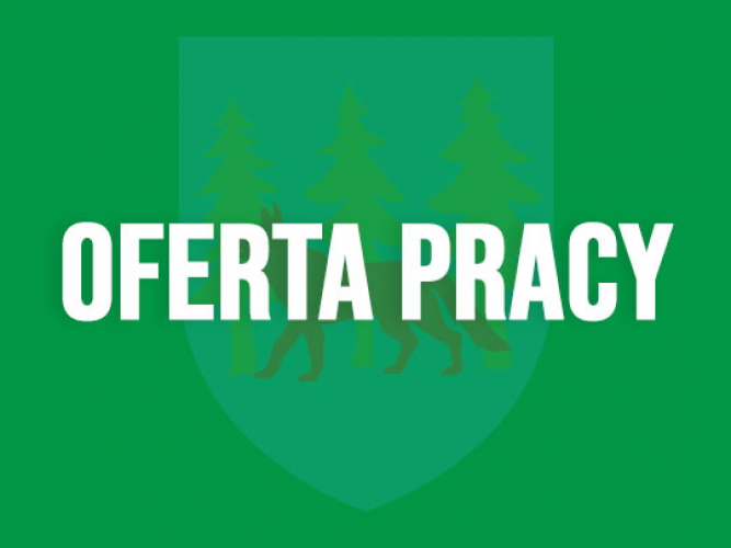 Oferta pracy w ZWiK Grajewo