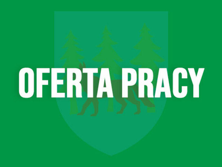 Oferta pracy dla konstruktora - technologa