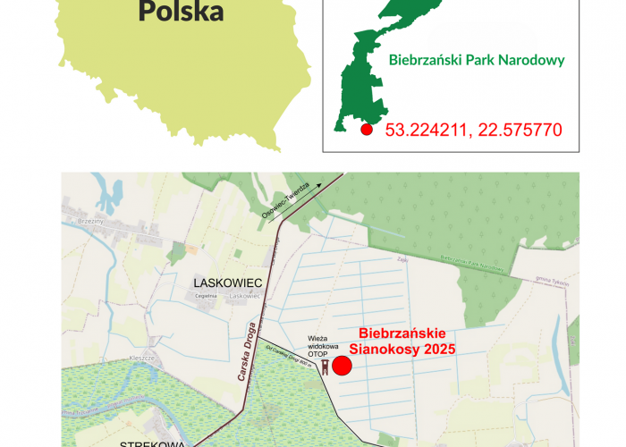 XX Mistrzostwa Świata w Koszeniu Bagiennych Łąk
