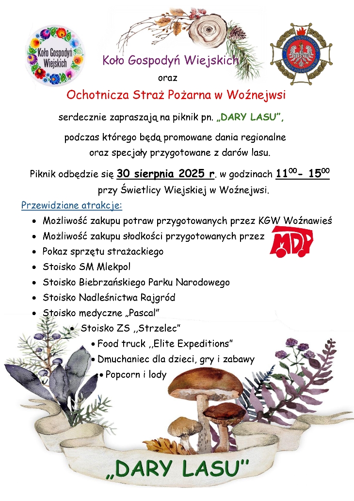 Woźnawieś zaprasza na piknik pn. 