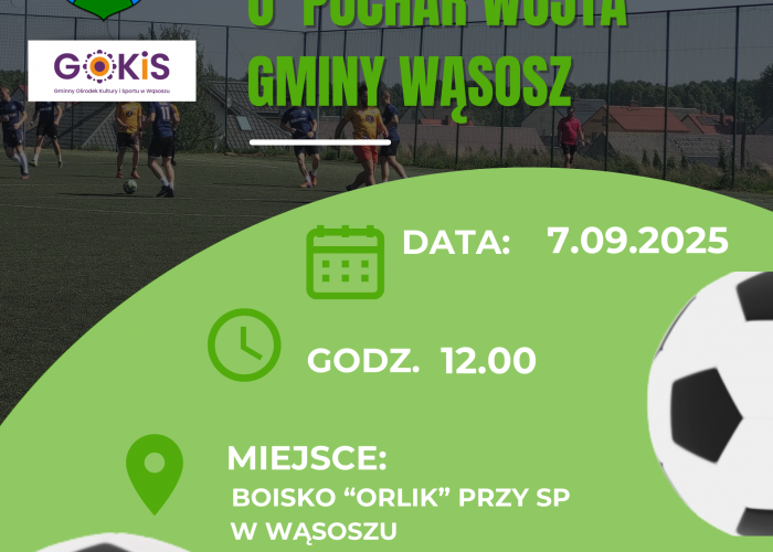XX Turnieju Piłki Nożnej o Puchar Wójta Gminy Wąsosz