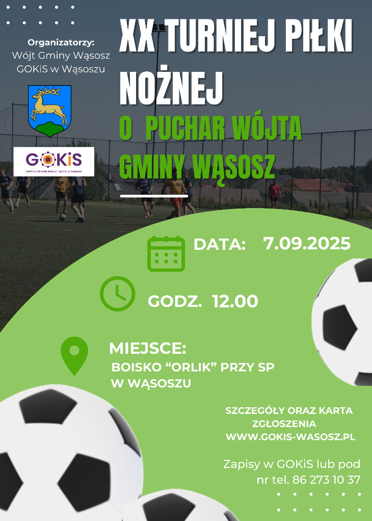 XX Turnieju Piłki Nożnej o Puchar Wójta Gminy Wąsosz