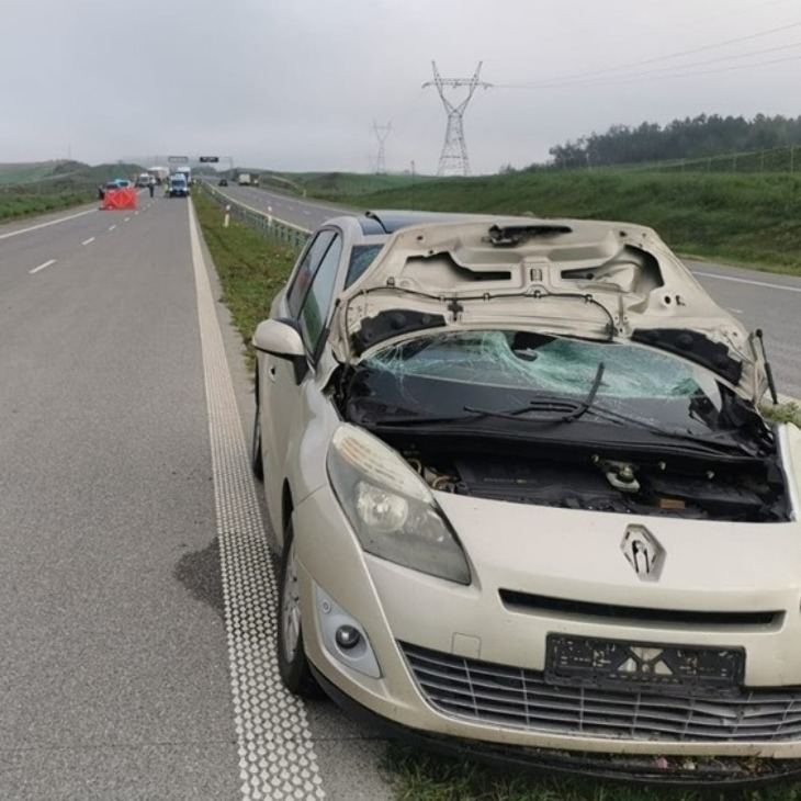 Potrącenie mężczyzny na drodze ekspresowej S61